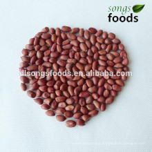 High Quality Indian peanut kernels